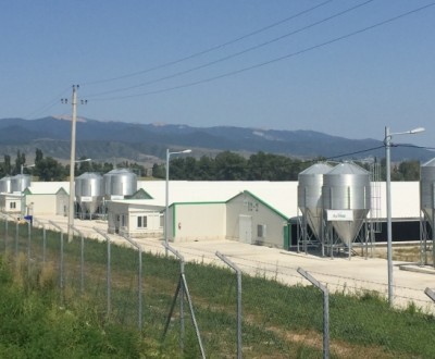 New Farms in Sartichala